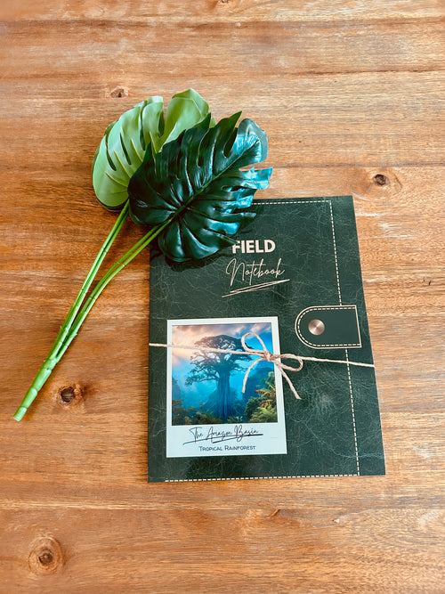 Eco Explorer Box – This month... The African Serengeti
