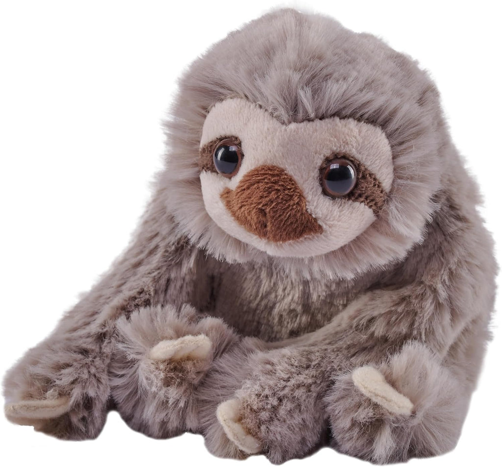 Previous Eco Explorer Box – The Amazon Rainforest
